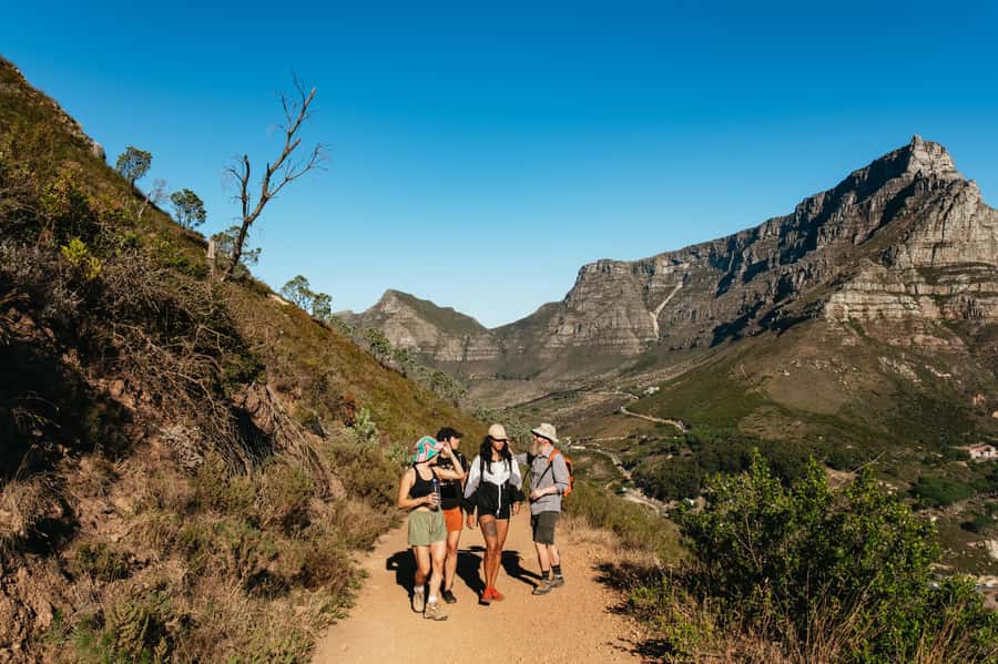 Cape Town: Lion's Head Guided Hike at Sunset - The lower trail, plants, animals, and Cape Town stories