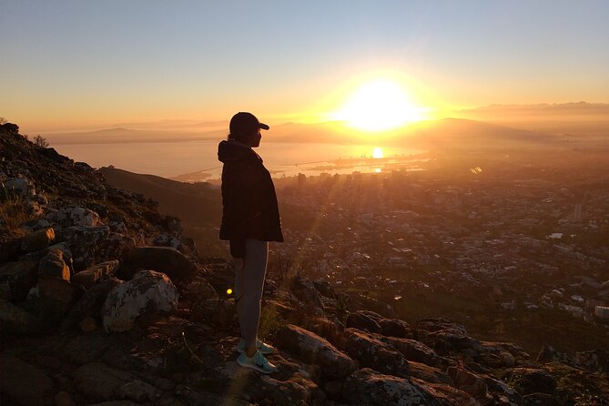 Cape Town: Lion's Head Hike - Ladders, chains, and staples near the summit