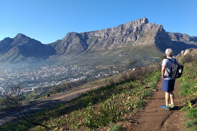Cape Town: Lion's Head Hike - Sunrise on Lion’s Head
