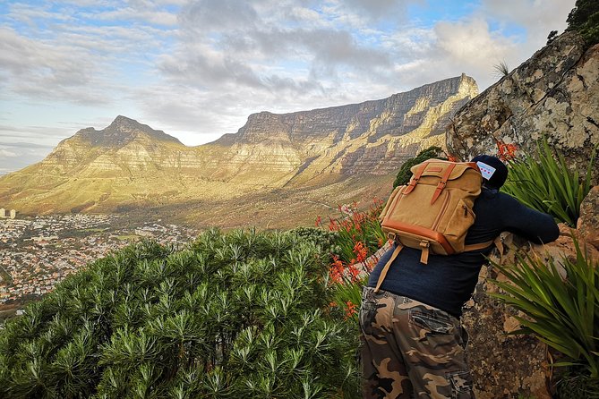 Cape Town: Lion's Head Sunset Hike - The descent and the small-group advantage