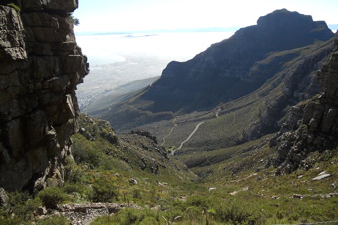 Cape Town: Platteklip Gorge Half-Day Hike on Table Mountain - What the guide adds to the hike