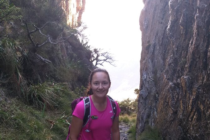 Cape Town: Platteklip Gorge Half-Day Hike on Table Mountain - Who should book this hike?