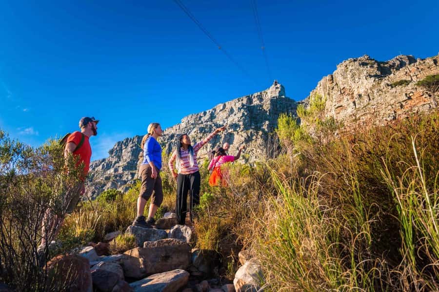 Cape Town Private Guided Table Mountain Hikes - Why a private Table Mountain hike works well