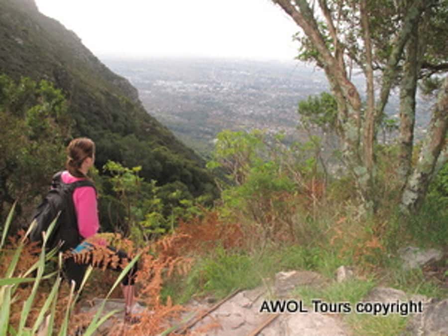 Cape Town Private Guided Table Mountain Hikes - Fitness, footing, and mountain weather