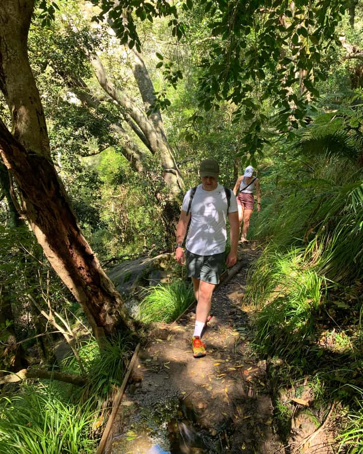 Cape Town: Skeleton Gorge and Kirstenbosch Gardens Hike - Key points to know before you climb