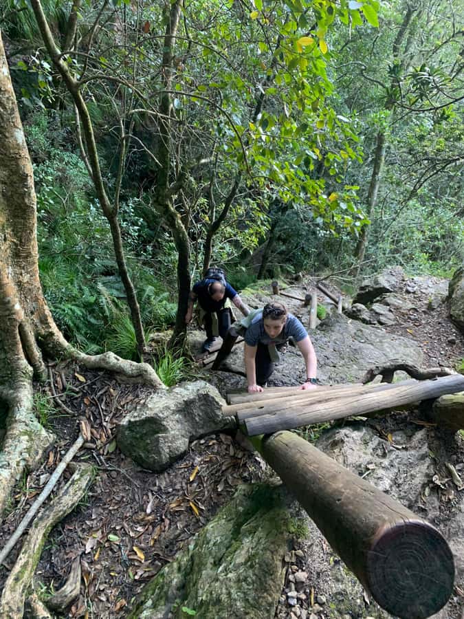 Cape Town: Skeleton Gorge and Kirstenbosch Gardens Hike - Weather, water, and what to pack