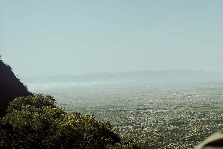 Cape Town: Skeleton Gorge and Kirstenbosch Gardens Hike - Who should book this hike?