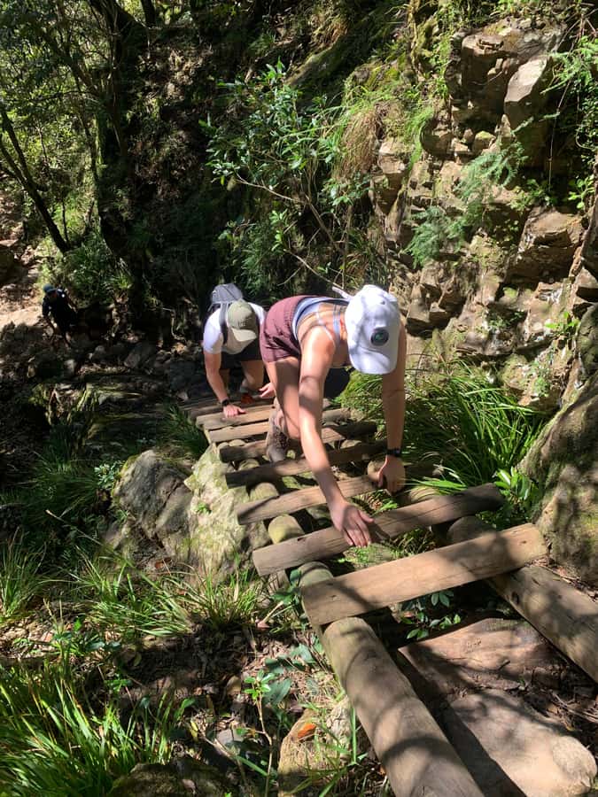 Cape Town: Skeleton Gorge and Kirstenbosch Gardens Hike - Should you book Skeleton Gorge?