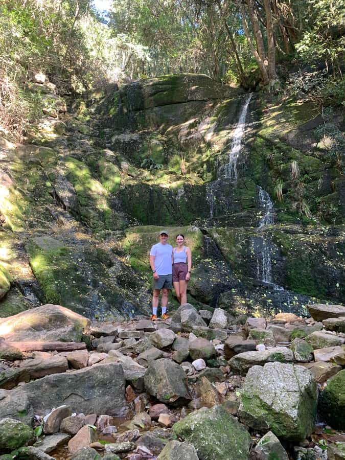 Cape Town: Skeleton Gorge and Kirstenbosch Gardens Hike - From Kirstenbosch’s plants to the first steep steps