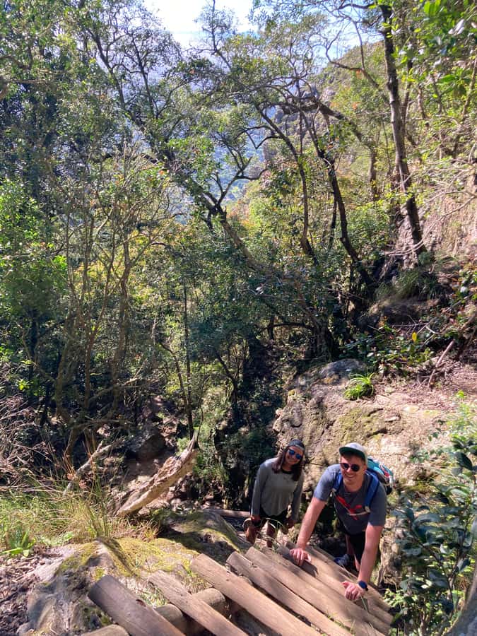 Cape Town: Skeleton Gorge Hike to Table Mountain Summit - Is $112 good value?