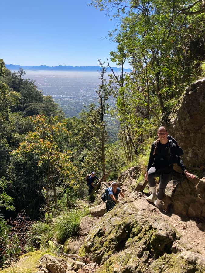 Cape Town: Skeleton Gorge Hike to Table Mountain Summit - Ladders, rock steps, and the demanding middle section