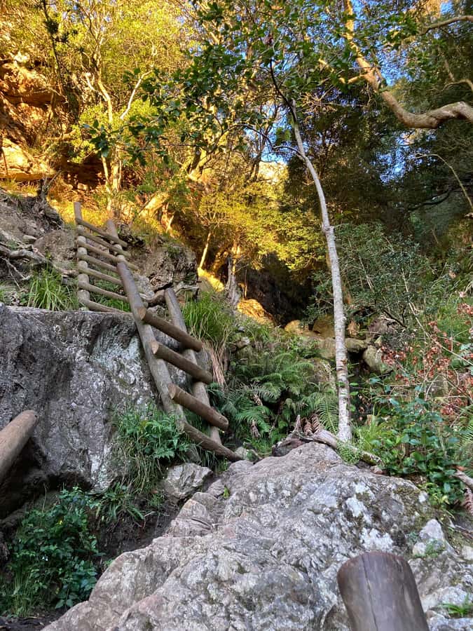Cape Town: Skeleton Gorge Hike to Table Mountain Summit - Maclear’s Beacon and the historic dams