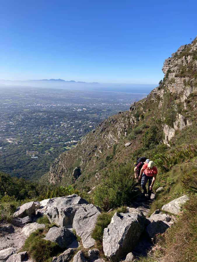 Cape Town: Skeleton Gorge Hike to Table Mountain Summit - The first climb through Skeleton Gorge