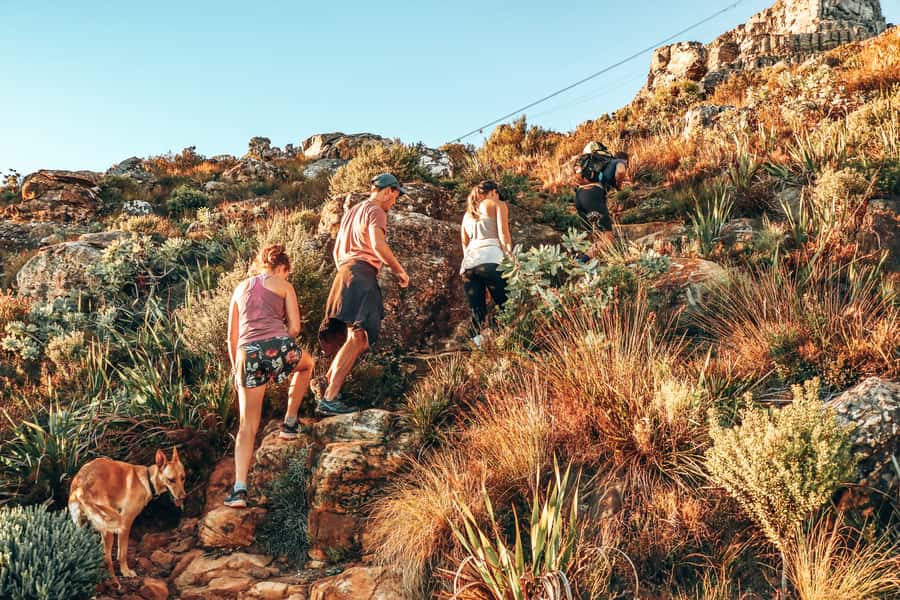 Cape Town: Table Mountain Hike via India Venster - The first rewards come quickly