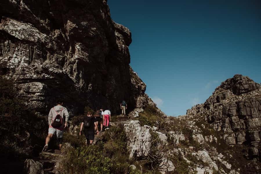 Cape Town: Table Mountain Hike with an Experienced Guide - The Descent: Cable Car or Footpath