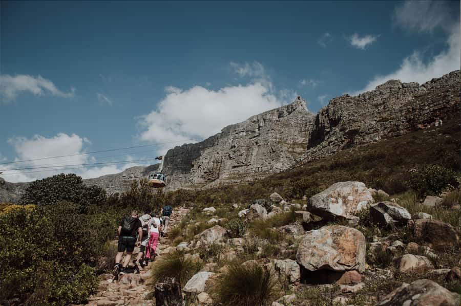 Cape Town: Table Mountain Hike with an Experienced Guide - Cost, Group Size, and What You Really Get