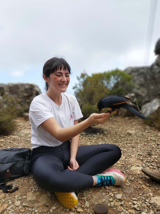 Cape Town: Table Mountain Hike with an Expert Guide - Why a guide changes the Table Mountain climb
