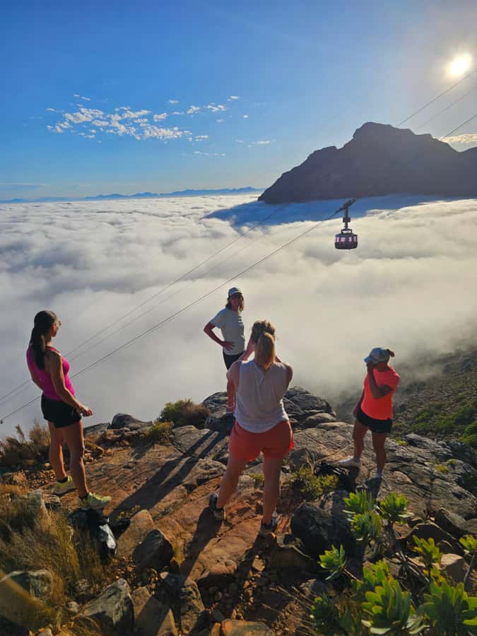 Cape Town: Table Mountain Hike with an Expert Guide - What the $60 price really buys you