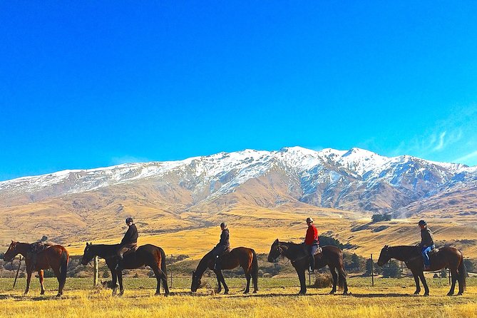 Cardrona High Country Pub Trail Horse Trek (Intermediate level+) - Riding through Cardrona’s gold rush country