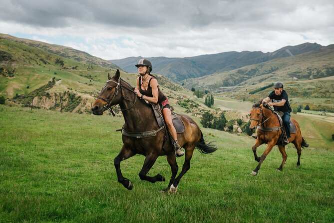 Cardrona High Country Pub Trail Horse Trek (Intermediate level+) - How much personal attention should you expect?