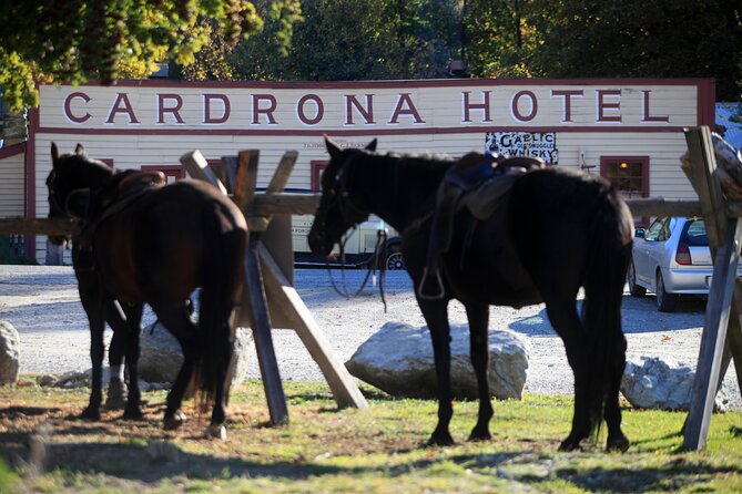 Cardrona High Country Pub Trail Horse Trek (Intermediate level+) - Is the NZ$433.78 price good value?
