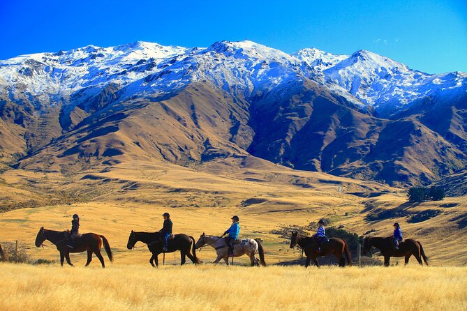 Cardrona High Country Pub Trail Horse Trek (Intermediate level+) - Where the ride becomes more active