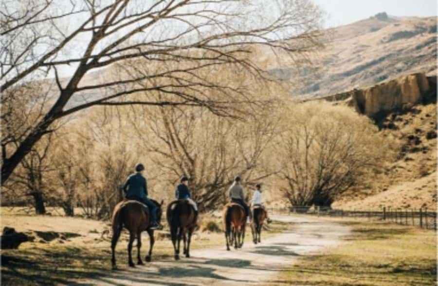 Cardrona Valley: Horse Trekking Experience - Meeting the horses before the trail
