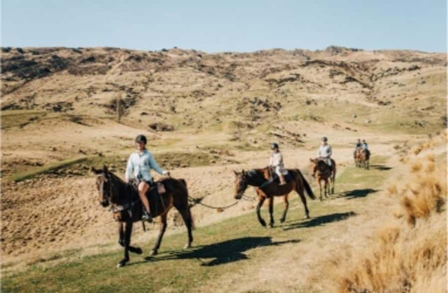 Cardrona Valley: Horse Trekking Experience - The private lesson that builds confidence