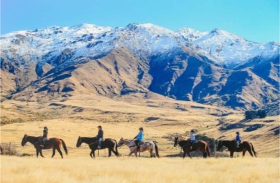 Cardrona Valley: Horse Trekking Experience - Guides who make the difference