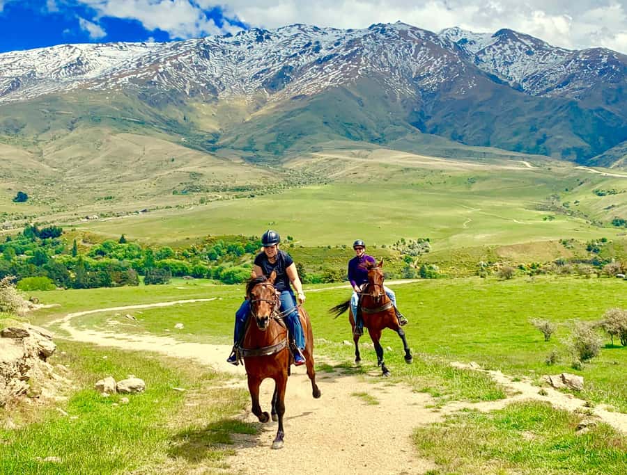 Cardrona Valley: Horse Trekking Experience - Starting at the Bra Fence