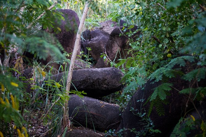 Caribbean Stonehenge - Hike on Green Castle Hill, Antigua. - The Megalith Field: Archaeology You Can See