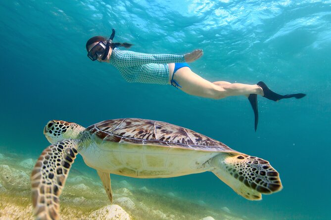 Cas Cay - Kayak Hike and Snorkel Adventure - Paddling through the red mangrove lagoon