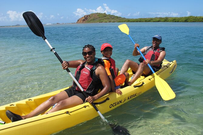 Cas Cay - Kayak Hike and Snorkel Adventure - Snorkeling in a mangrove nursery
