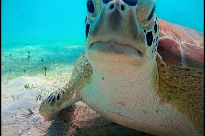 Cas Cay - Kayak Hike and Snorkel Adventure - Is $99 a good value?