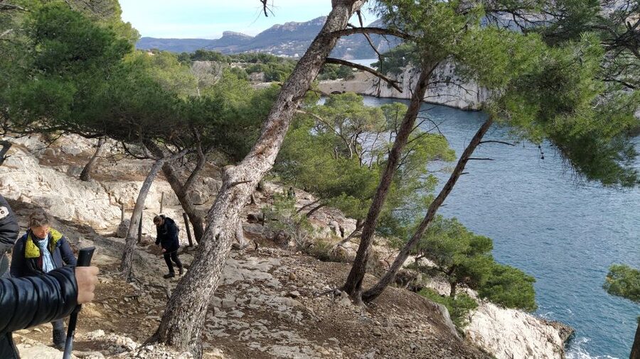 Cassis: 3 Calanques Half-Day Hiking Tour with Swimming - Who will enjoy this Cassis hike most
