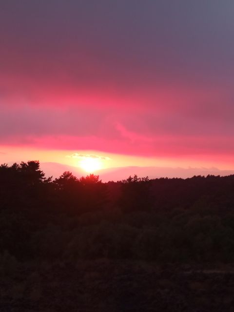 Catania: Mount Etna Sunset Trekking with Wine Tasting - The guide can make or break the day