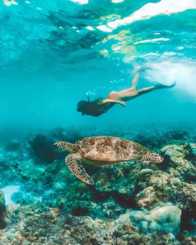 Cebu: Osmeña Peak hike and Sardines Run Snorkel adventure
