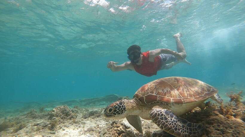Cebu: Osmeña Peak hike and Sardines Run Snorkel adventure - A practical look at the $92 price