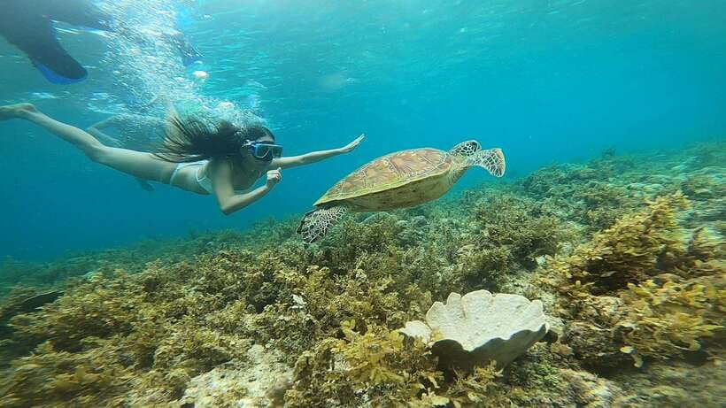 Cebu: Osmeña Peak hike and Sardines Run Snorkel adventure - Who will enjoy this Cebu day trip