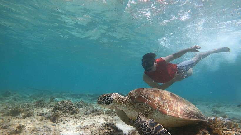 Cebu: Osmeña Peak hike and Sardines Run Snorkel adventure - Cancellation and planning details