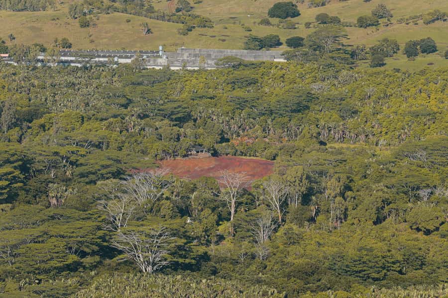 Chamarel: Sunset Mountain Hike - What the three-hour route feels like