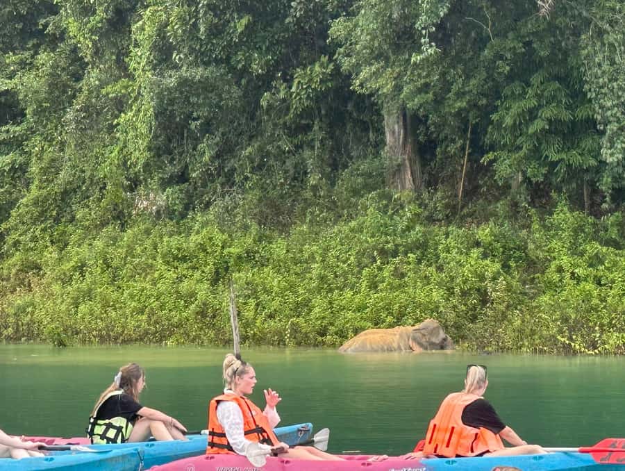 Cheow Larn Lake - Hiking - Cave Explore - Wildlife Safari - The rainforest walk to Coral Cave
