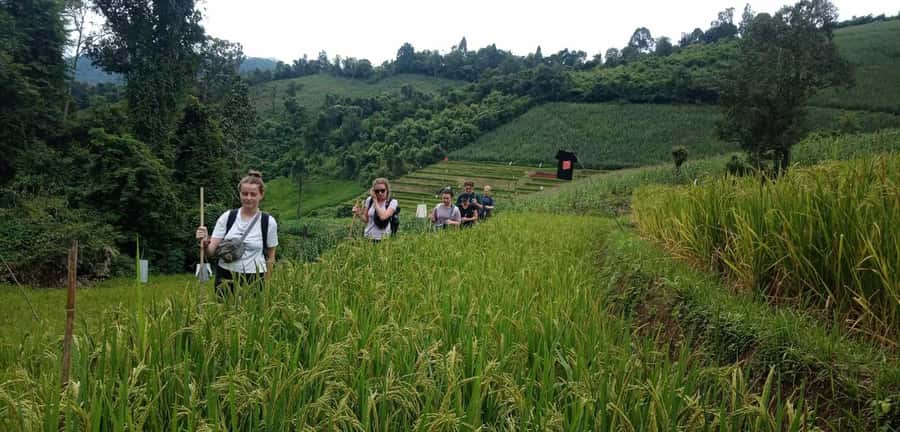 Chiang Mai: 2-Day Jungle Trek with Elephant Farm & Raft Ride - Why this two-day trek feels different from a day trip