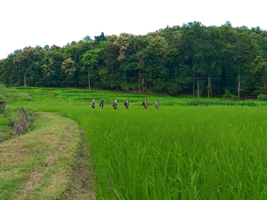 Chiang Mai: 2-Day Jungle Trek with Elephant Farm & Raft Ride - Dinner, mountain views, and one simple night