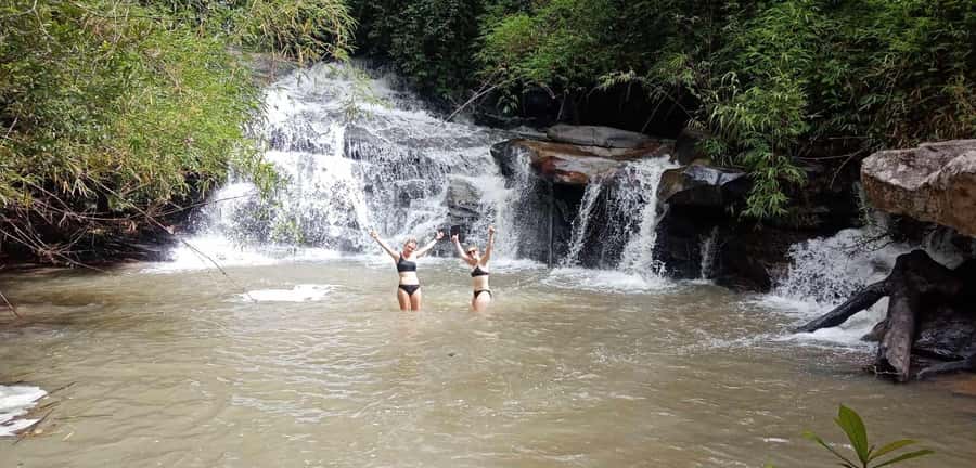 Chiang Mai: 2-Day Jungle Trek with Elephant Farm & Raft Ride - The second day: forest paths and rescued elephants