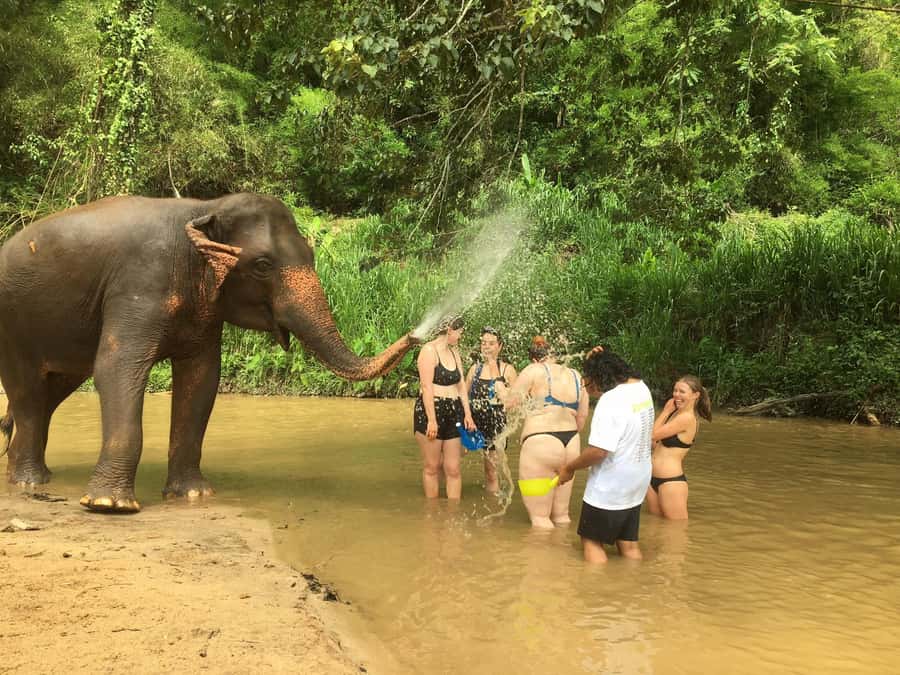 Chiang Mai: 2-Day Jungle Trek with Elephant Farm & Raft Ride - From Chiang Mai’s old town to the Mae Wang River
