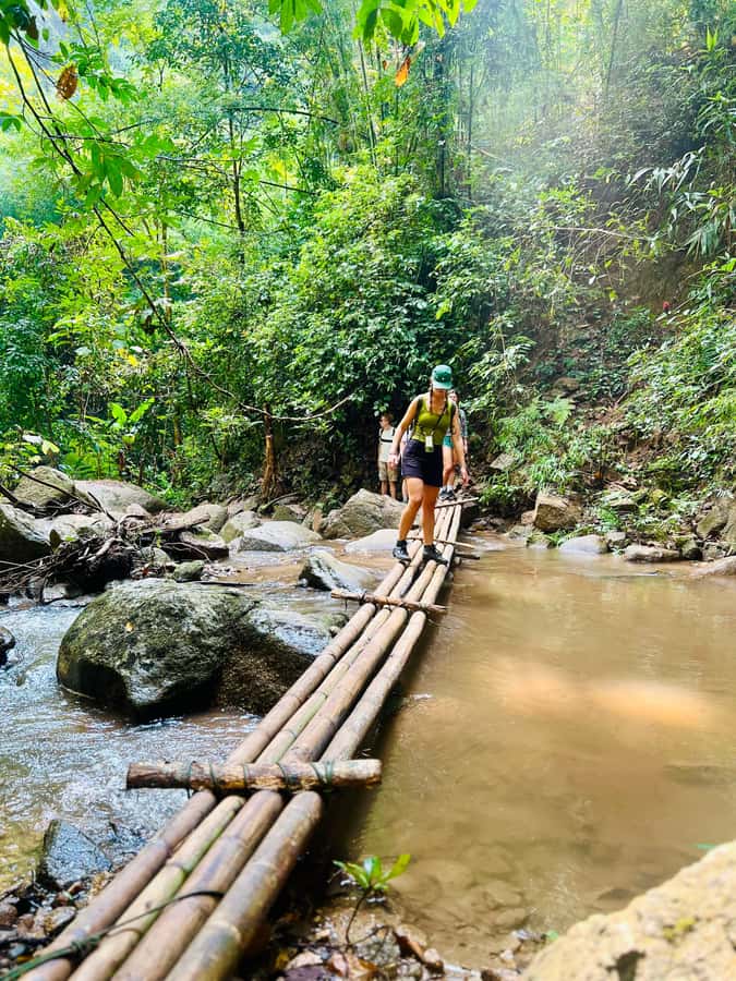 Chiang Mai 2-Day: Trekking, Tubing & Elephant Observation - The waterfall slide and the optional elephant visit