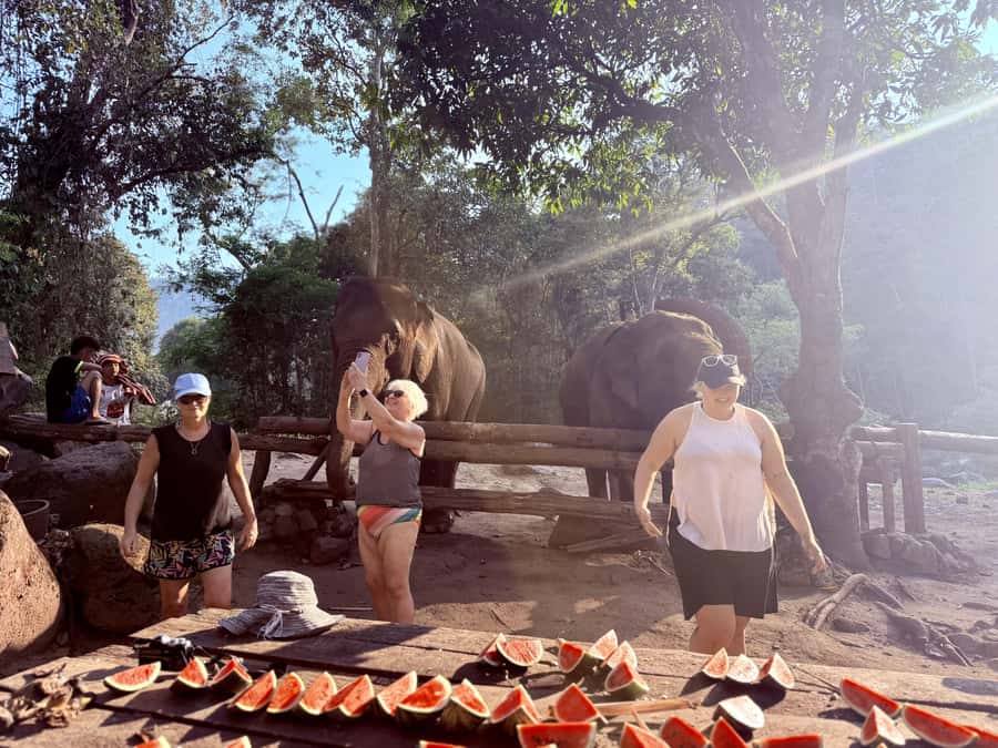 Chiang Mai 2-Day: Trekking, Tubing & Elephant Observation - A short second morning and useful add-ons