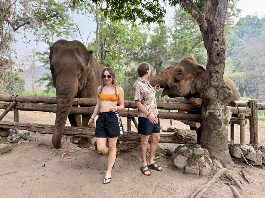 Chiang Mai 2-Day: Trekking, Tubing & Elephant Observation - What the $102 price really covers