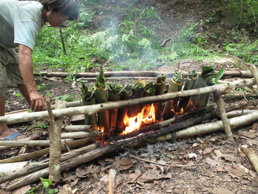 Chiang Mai: 2 Days, 1 Night Non-Tourist Trek - Why this Chiang Mai trek feels different
